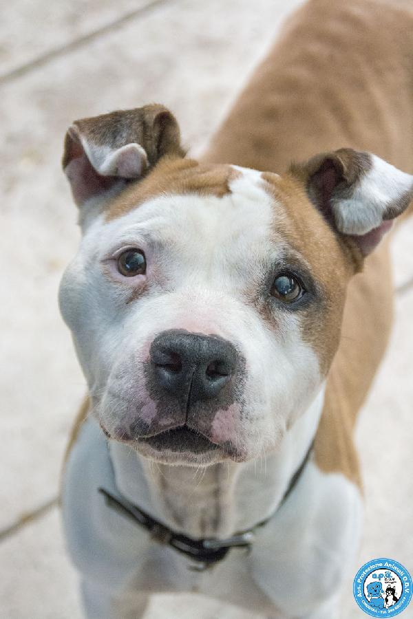 Molly, Una Casa Per Gli Anni Più Preziosi